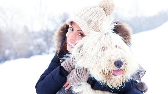 10 породи кучета, които обичат снега (СНИМКИ)