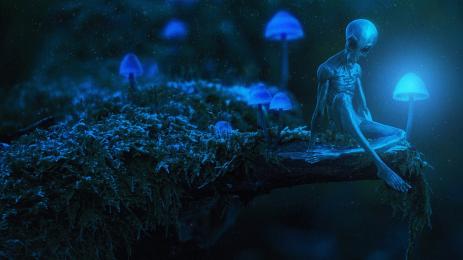 извънземно