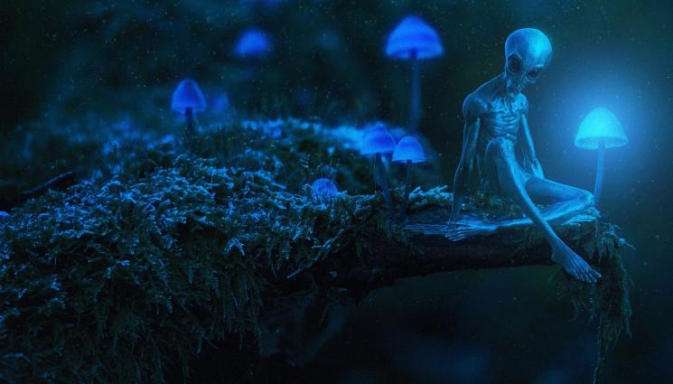 извънземно - НЕ СМЕ САМИ: Сини извънземни разкриха - във Вселената живеят 135 млрд. души!