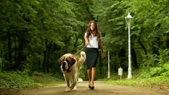 Как да разхождате куче, което е по-силно от вас