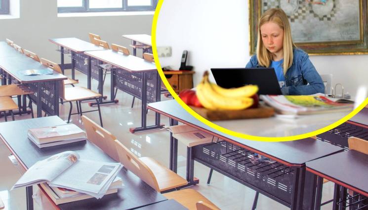 онлайн обучение - НОВО 20: Матурите минават онлайн!