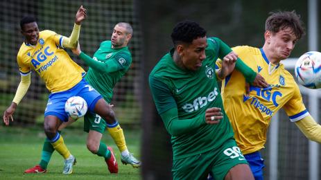 Лудогорец Теплице