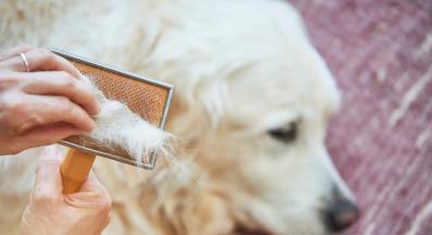 куче козина