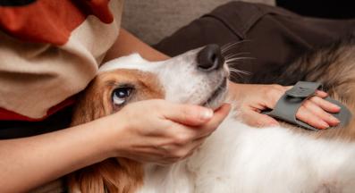 куче козина