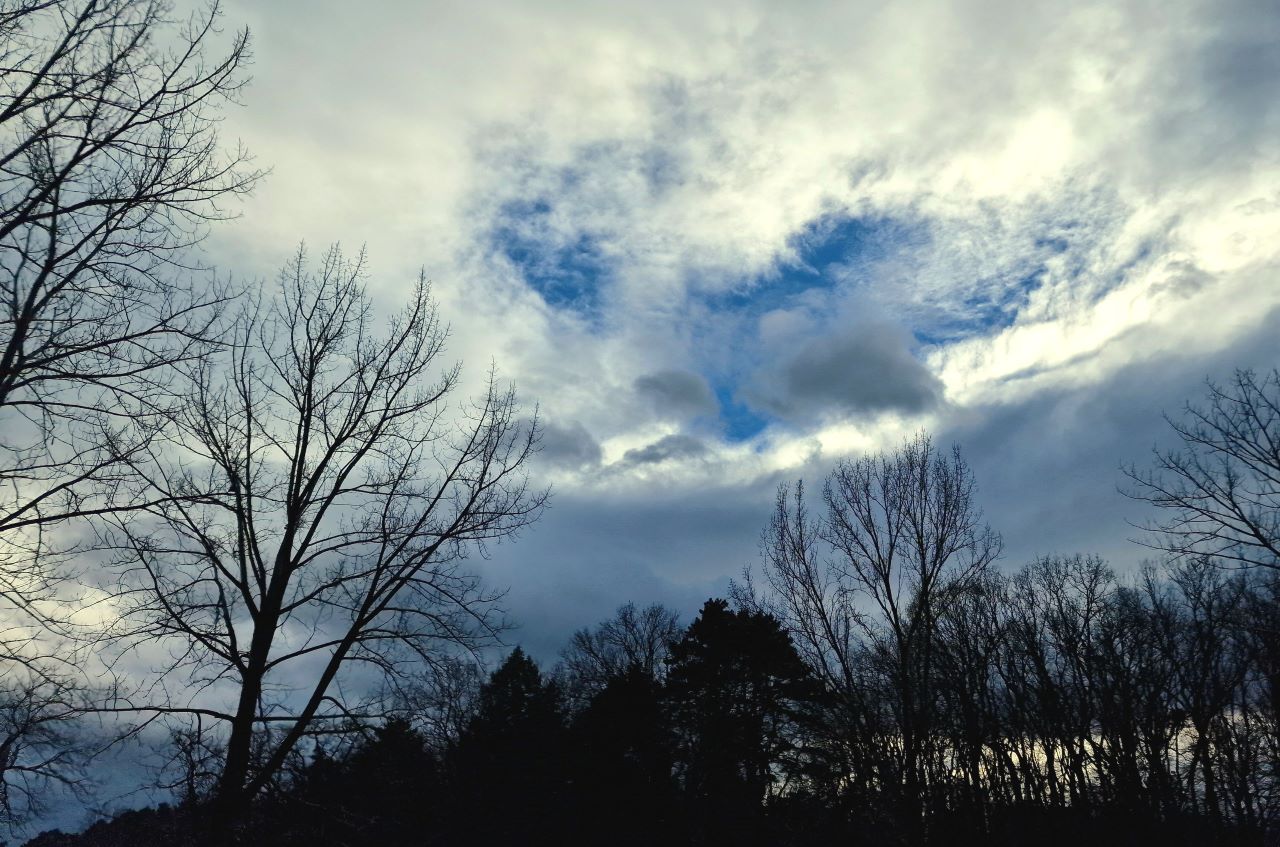 От 4 до 21 градуса: Какво ще е времето до края на ноември