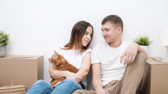 4 проблема, които могат да се появят във връзката с половинката ви, заради котката