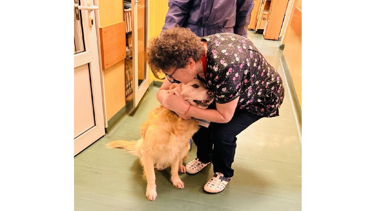 Кучето Ричард