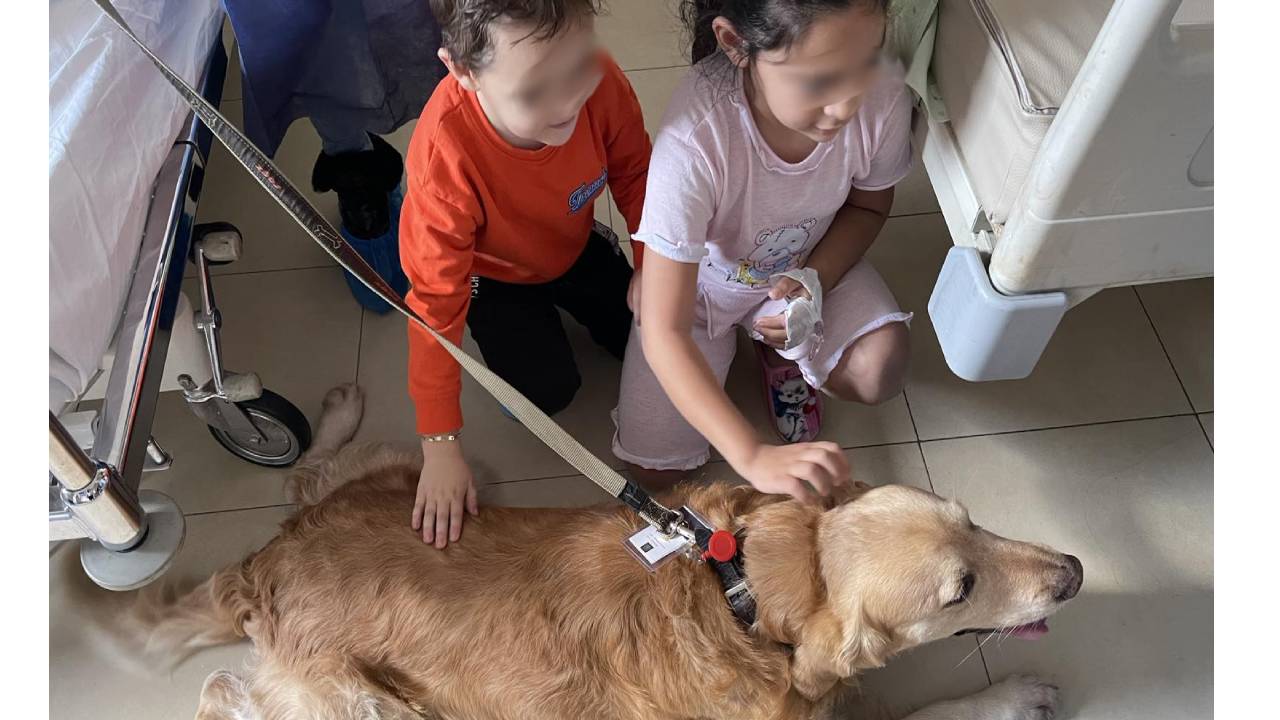 кучето Ричард