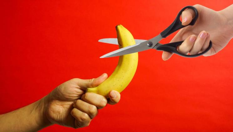 банан ножица кастрация - ЗА СВЕТИ ВАЛЕНТИН: Приют кастрира бившия ви срещу скромно дарение! (СНИМКА+ВИДЕО)