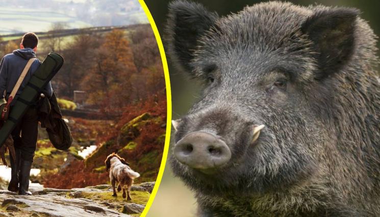 глиган ловец - НАСЛУКА: Наздраве на вълшебния стрелец!