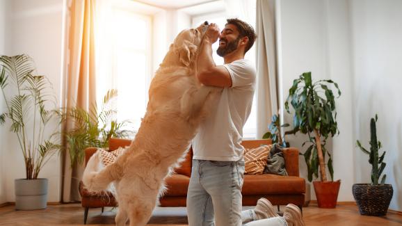 5 научно доказани начина да покажете на кучето си колко го обичате