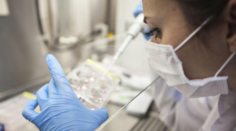 Študija v ZDA ugotavlja, da okužba z rinovirusi delno ščiti pred COVID-19