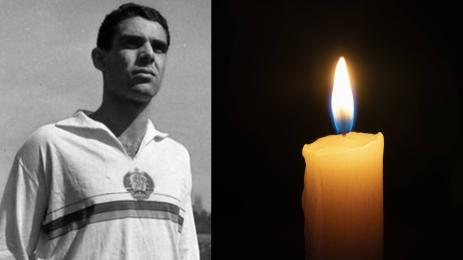 Стефан Янев