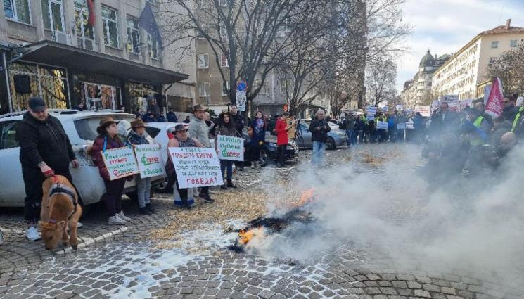 земеделци - ФЕРМЕРСКИЯТ ПРОТЕСТ: Палежи пред Министерство на земеделието и храните (СНИМКИ)