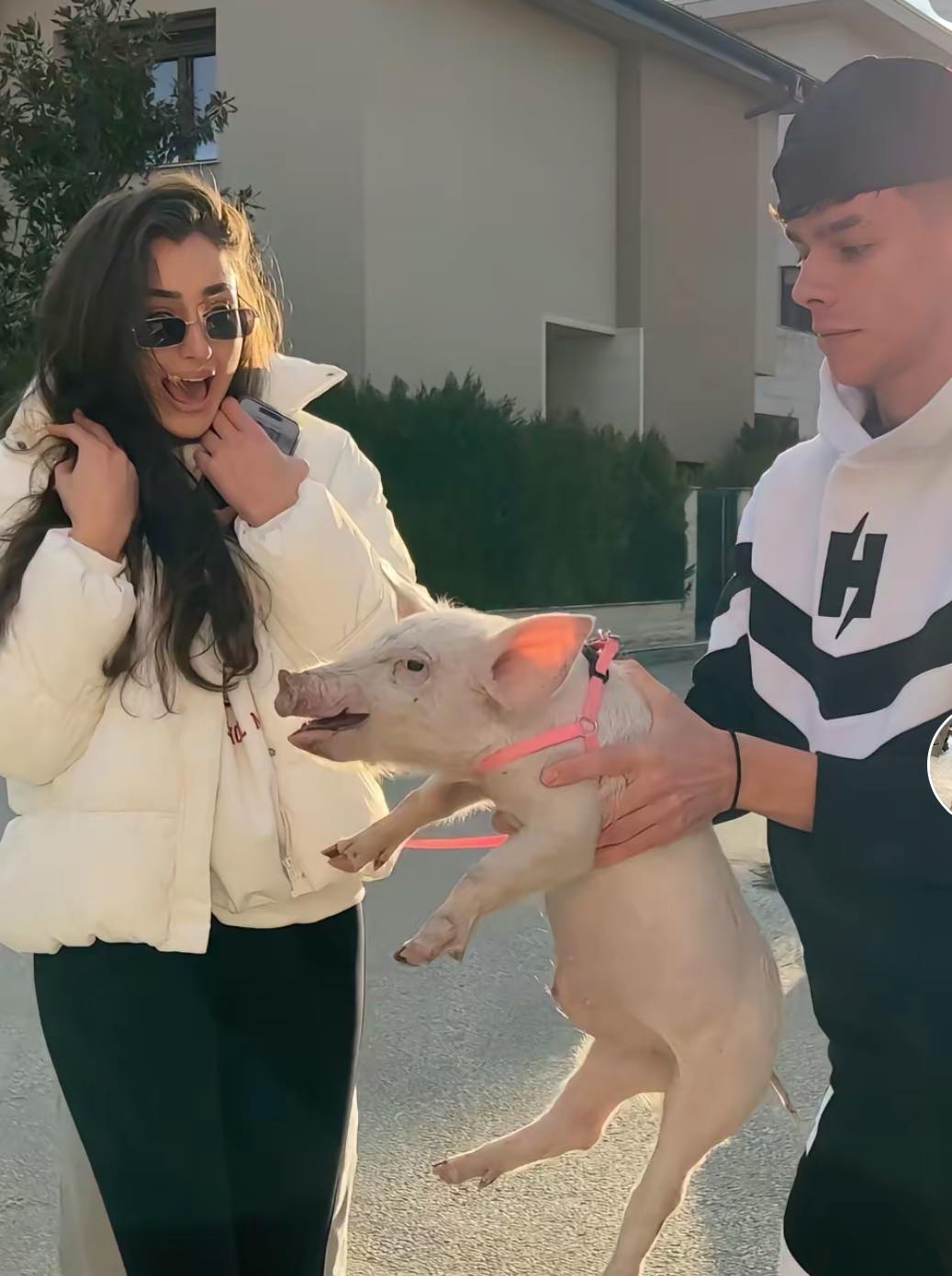 Елизабет Кравец