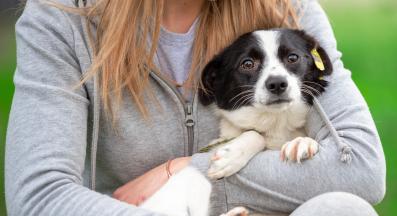 куче човек емоции