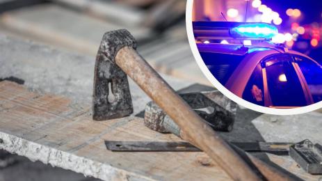 тесла полиция