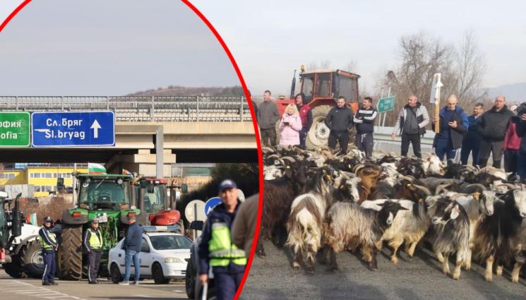 трактори - БЛОКАДА: Фермерите изкараха кози на магистралата