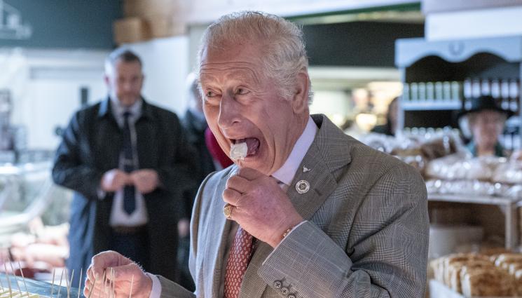 Чарлз и Камила - СИНЯ КРЪВ: Имат ли незаконен син Чарлз и Камила! (СНИМКИ)