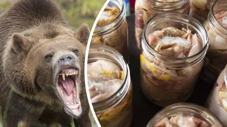 мечка буркани