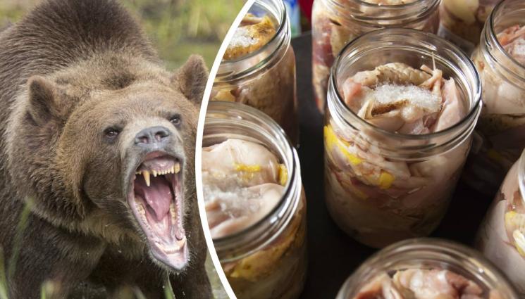 мечка буркани - ЧЪК НОРИС ПАСТИ ДА ЯДЕ: Смелчага преби мечка до смърт, затвори я в буркани!