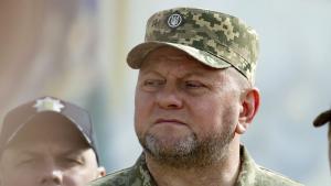 Украинският президент Володимир Зеленски отстрани от поста главнокомандващия украинските въоръжени