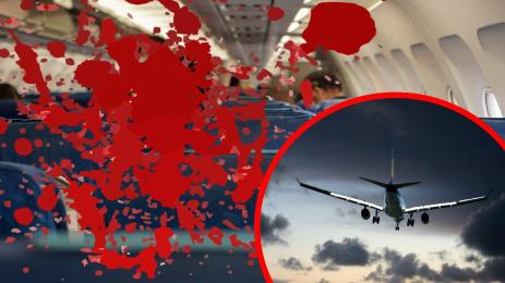 самолет кръв