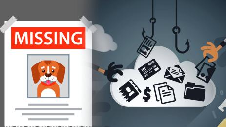 кражба куче