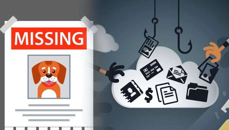 кражба куче - АПАШИ НА МИСИЯ: Обират звезди заради скъпи кучета и бижута