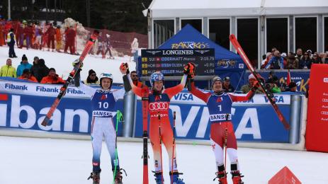 ски алпийски мъже