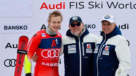 ски алпийски мъже