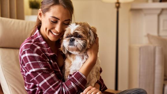 6 емоционални сигнала, с които кучето ви изразява обичта си