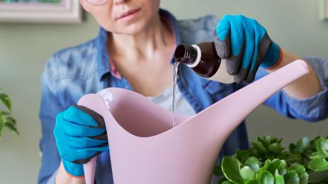 поливане цветя