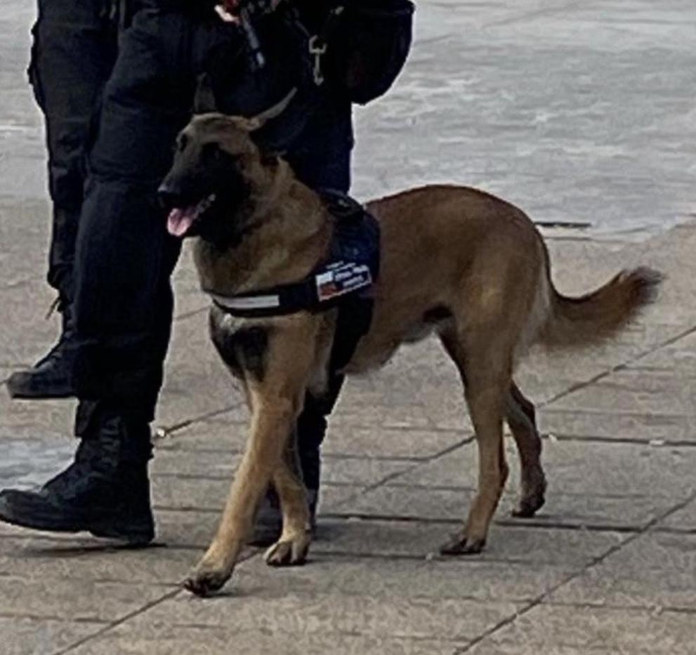 Пилотен моделза охрана на обществения ред, чрез пеши патрул със