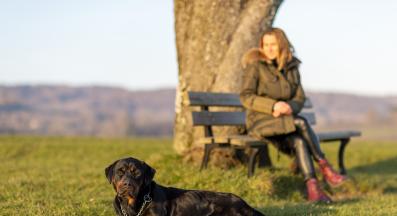 куче защита