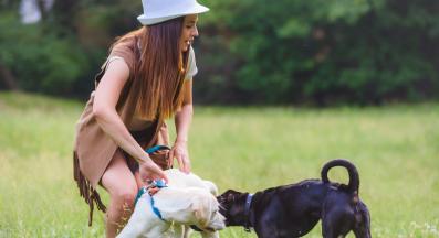 женско куче разгонено