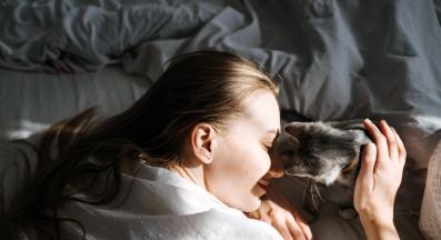 домашна котка