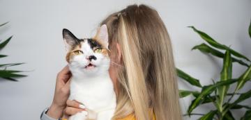 7 фини начина, по които може да обидите котката си