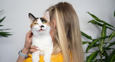 котка и стопанка