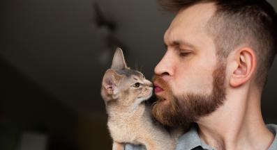 котка ближе