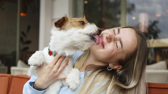 6 начина, по които кучетата използват езика на тялото, за да изразят обич