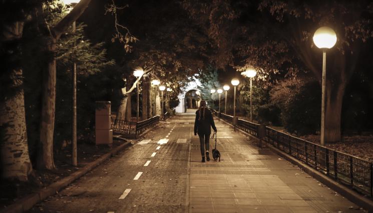 парк - ШЛИФЕРИТЕ ИЗЧЕЗВАТ: Столичните паркове светват