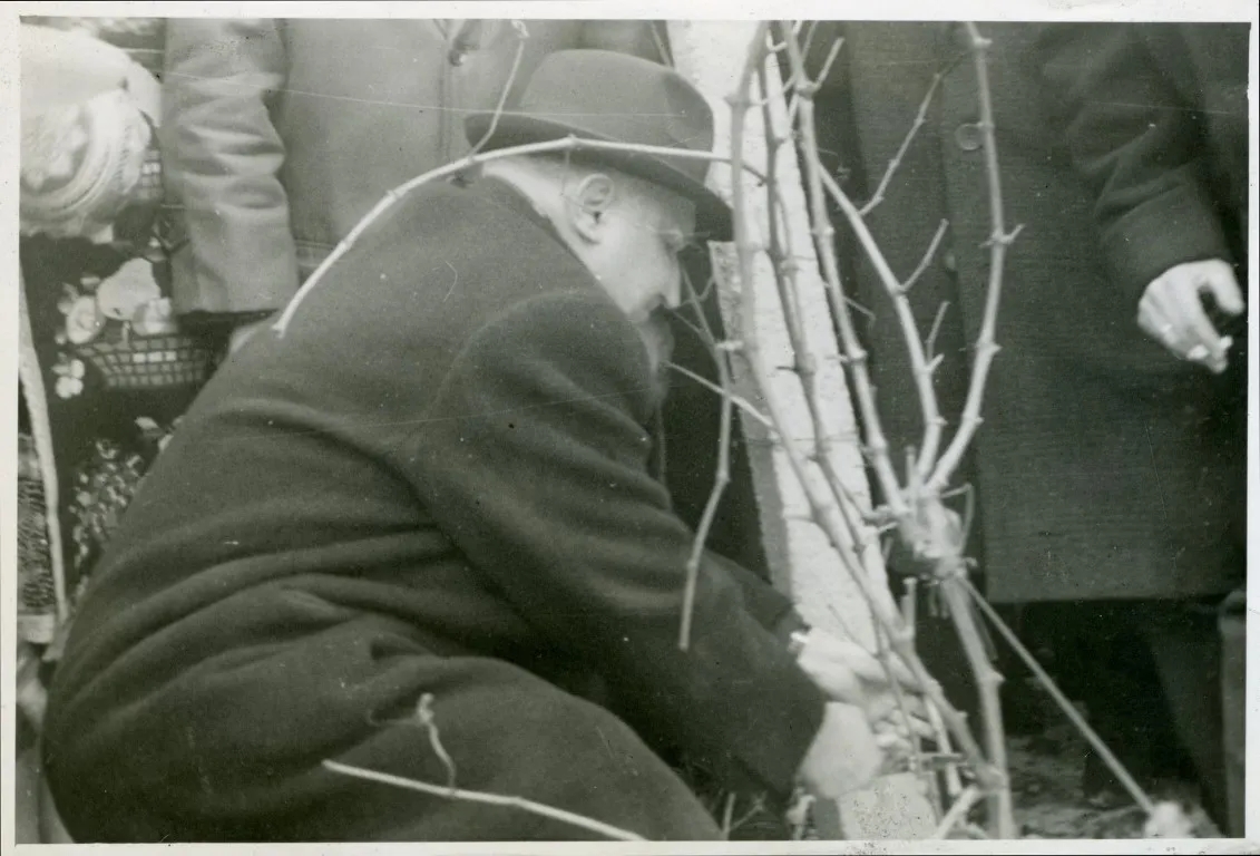 чудеса и вяра трифон зарезан