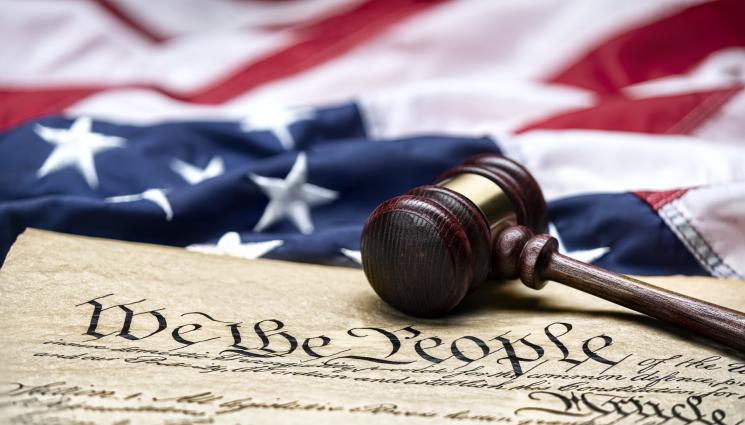 Конституция - Активисти посегнаха на Конституцията (ВИДЕО)