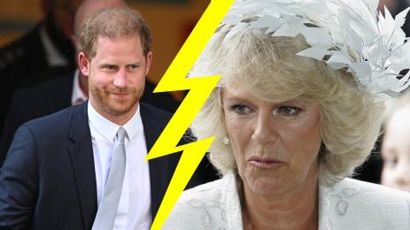 принц Хари Камила