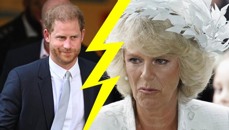 принц Хари Камила - НЕ Й ПРОСТИ: Принц Хари изгонил Камила от срещата с Чарлз III