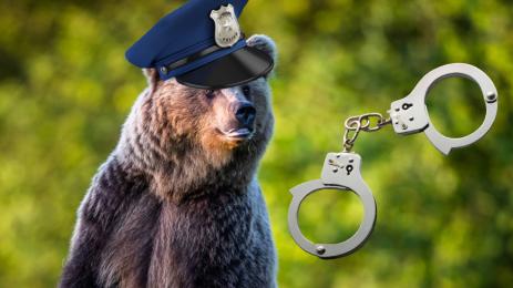 мечка полицай