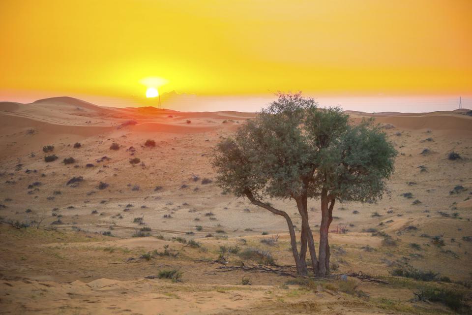  рас ал хайма 