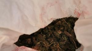 Иззеха голямо количество марихуана в Казанлък съобщиха от полицията МВР