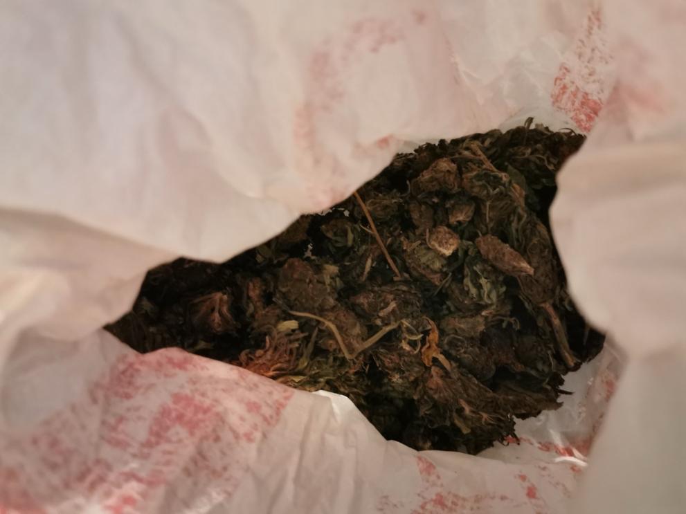 Снимка: Иззеха голямо количество марихуана от криминално проявен в Казанлък